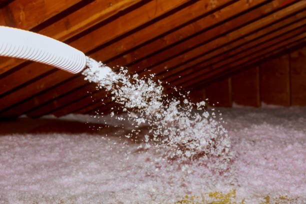 Best Cellulose Insulation in Staunton, VA