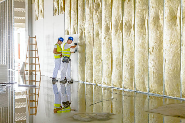 Trusted Staunton, VA Insulation Contractor Experts
